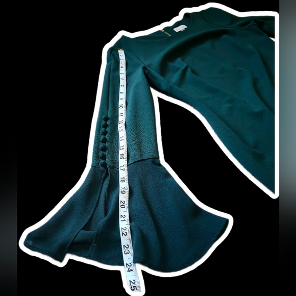 Calvin Klein Forest Green Chiffon Bell Sleeve Sheath Dress - Size 10 - Picture 9 of 12